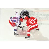 Kitchener Rangers face off with the Sault Ste. Marie Greyhounds