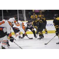Lehigh Valley Phantoms face off with the Providence Bruins