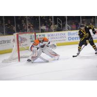 Lehigh Valley Phantoms goaltender Alex Lyon vs. the Providence Bruins