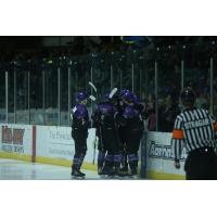 Tri-City Storm celebrates a goal against the Green Bay Gamblers