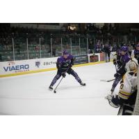 Tri-City Storm looks for an opening against the Green Bay Gamblers