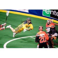 Miles Thompson of the Georgia Swarm dives on a shot attempt against the Buffalo Bandits