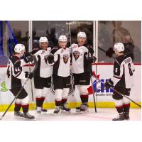 Vancouver Giants line up to celebrate a goal