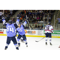 Pensacola Ice Flyers celebrate a goal against the Macon Mayhem