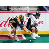 Alex Crepinsek of the Georgia Swarm (left) fights for a loose ball against the Colorado Mammoth