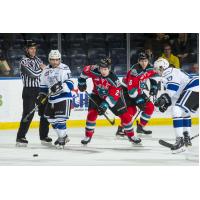 Kelowna Rockets centre Kyle Topping (center) eyes a loose puck against the Victoria Royals