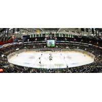 Budweiser Gardens, home of the London Knights