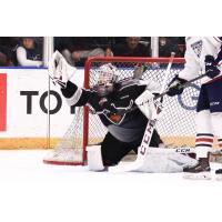 Vancouver Giants goaltender David Tendeck with a glove save vs. the Tri-City Americans