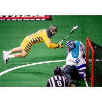 Brendan Bomberry of the Georgia Swarm dives to score a goal against the Rochester Knighthawks