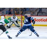 Texas Stars goaltender Landon Bow faces the Manitoba Moose