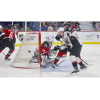 Evan Patrician of the Vancouver tests the Kelowna Rockets defence