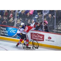 Niagara IceDogs battle the Barrie Colts along the boards