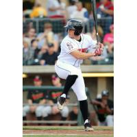 Outfielder Drew Mount with the Billings Mustangs