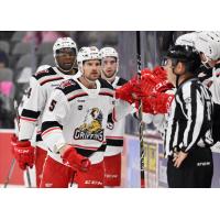 Grand Rapids Griffins exchange congratulations along the bench