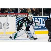 Texas Stars goaltender Colton Point