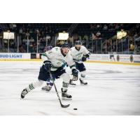 Florida Everblades forward Blake Winiecki