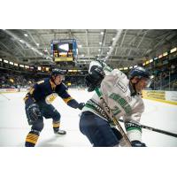 Florida Everblades left wing Tommy Thompson vs. the Norfolk Admirals