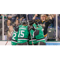 Texas Stars celebrate a big goal