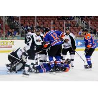 Utah Grizzlies mix it up with the Wichita Thunder