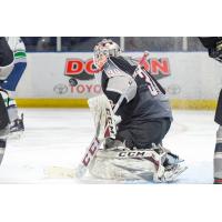 Vancouver Giants goaltender David Tendeck