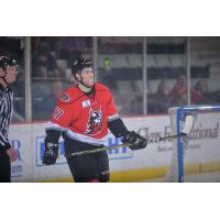 Adirondack Thunder defenseman Desmond Bergin