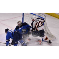 Greenville Swamp Rabbits forward Michael Pelech vs. the Jacksonville IceMen