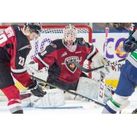 Vancouver Giants goaltender David Tendeck vs. the Seattle Thunderbirds