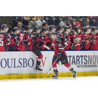 Vancouver Giants right wing Jared Dmytriw collects congratulations along the bench vs. the Seattle Thunderbirds