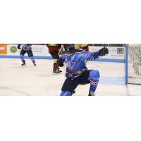 South Carolina Stingrays celebrate a goal