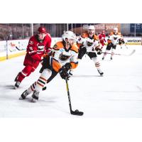 Lehigh Valley Phantoms defenseman Reece Willcox vs. the Charlotte Checkers