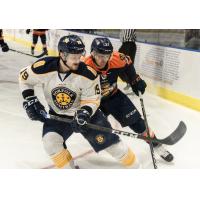 Norfolk Admirals defenseman Nick Ferguson (left) vs. the Greenville Swamp Rabbits