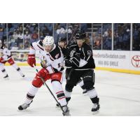 Grand Rapids Griffins defenseman Kevin Tansey (right) vs. the Ontario Reign