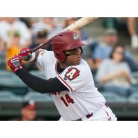 First baseman Edwin Espinal with the Altoona Curve