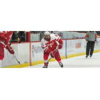 Defenseman Matt Nuttle with Cornell University