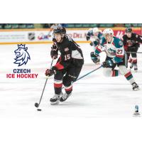 Prince George Cougars forward Matej Toman