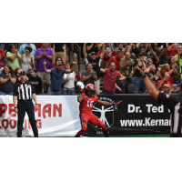 Jacksonville Sharks fans react to a touchdown