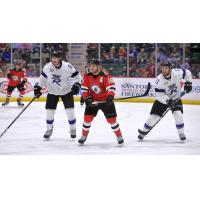 Adirondack Thunder forward Peter MacArthur vs. the Reading Royals