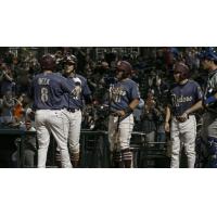 Frisco RoughRiders congratulate Preston Beck after his home run