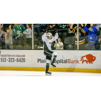 Texas Stars celebrate a goal against the Rockford IceHogs