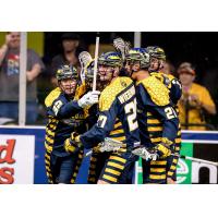 Georgia Swarm celebrate a goal