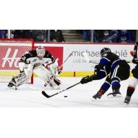 Vancouver Giants goaltender David Tendeck ready for a Victoria Royals' shot