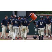 Mobile BayBears celebrate with a Gatorade shower