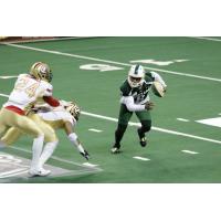 Green Bay Blizzard vs. the Quad City Steamwheelers