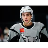 San Antonio Rampage defenseman Mitch Reinke