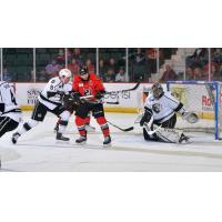 James Henry of the Adirondack Thunder vs. the Manchester Monarchs defense