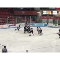 Sioux Falls Stampede face off with the Waterloo Black Hawks