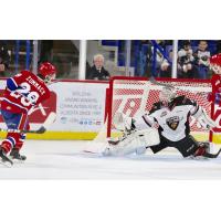 Vancouver Giants goaltender David Tendeck saves a shot by the Spokane Chiefs