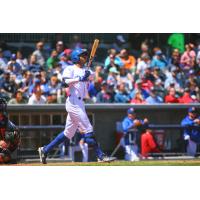 Amarillo Sod Poodles outfielder Buddy Reed at the plate