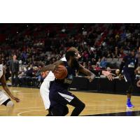 Halifax Hurricanes SG Terry Thomas drives against the Moncton Magic