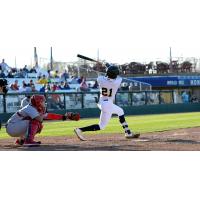 Spencer Griffin of the Burlington Bees